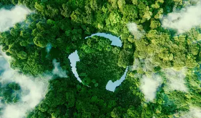 sustainability