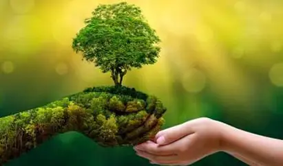 sustainability1